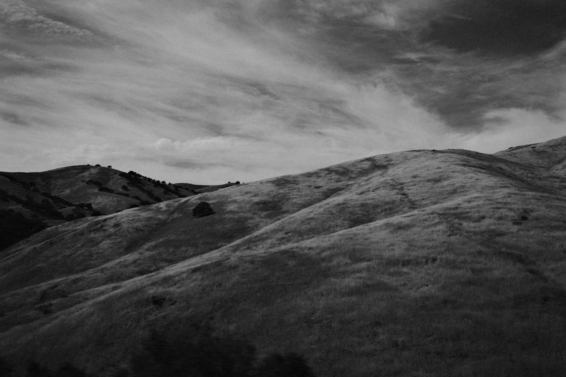 Grapevine