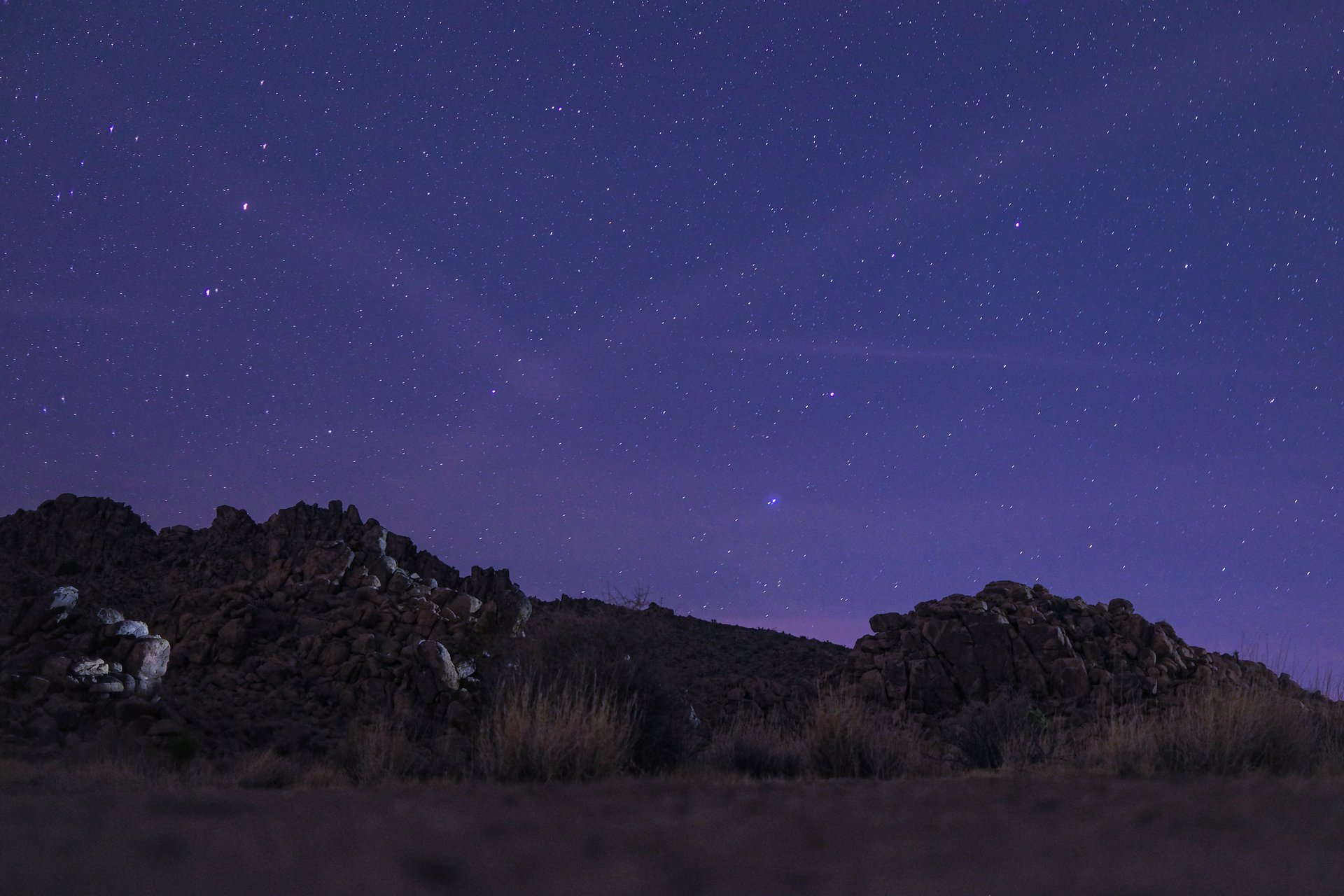 Joshua Tree