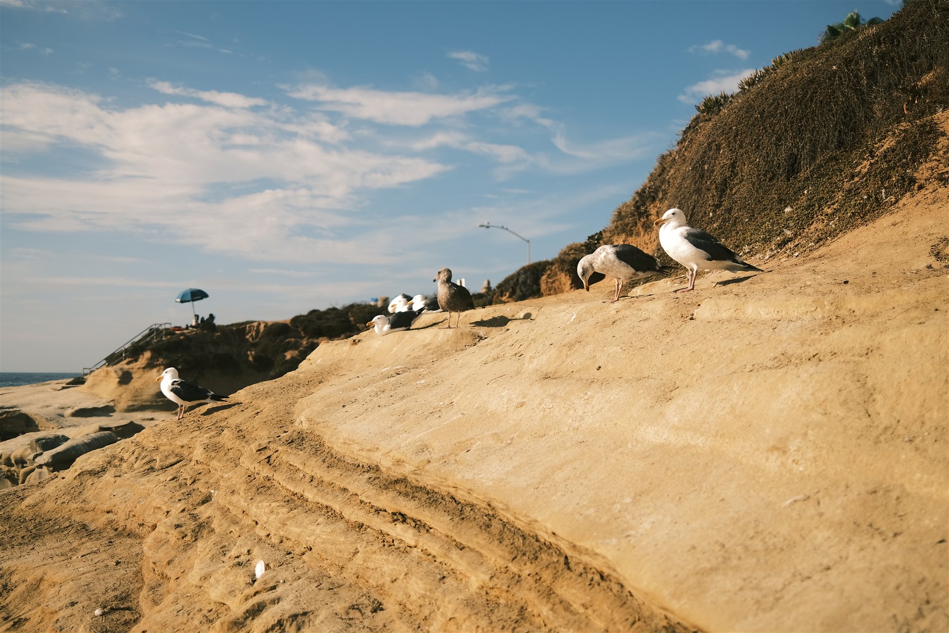 La Jolla 2